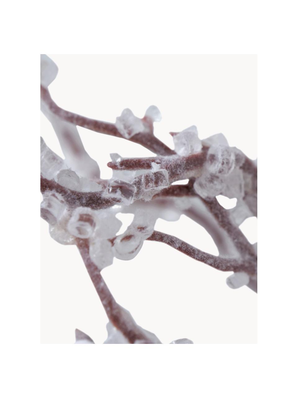 Wieniec świąteczny Biala, Drewno brzozowe, Biały, ciemne drewno naturalne, Ø 50 x W 10 cm