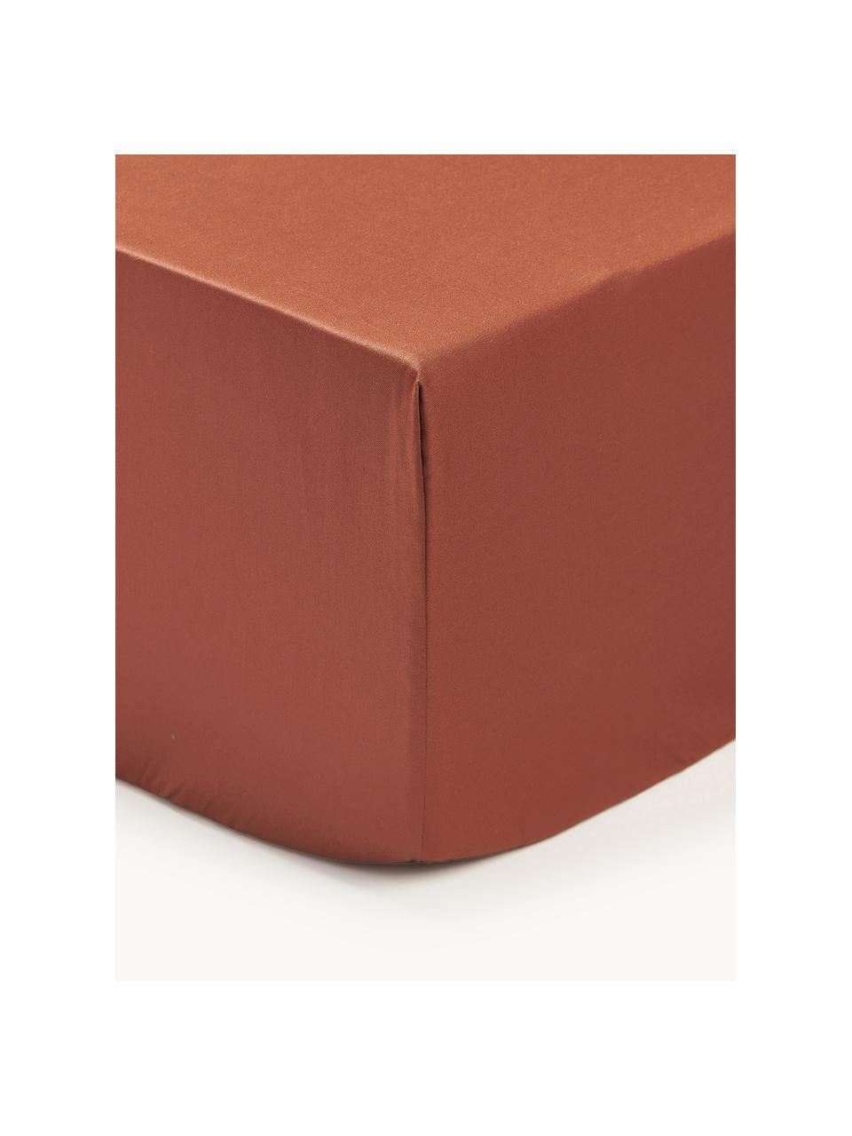 Lenzuolo con angoli boxspring in raso di cotone Premium, Terracotta, Larg. 140 x Lung. 200 cm, Alt. 35 cm