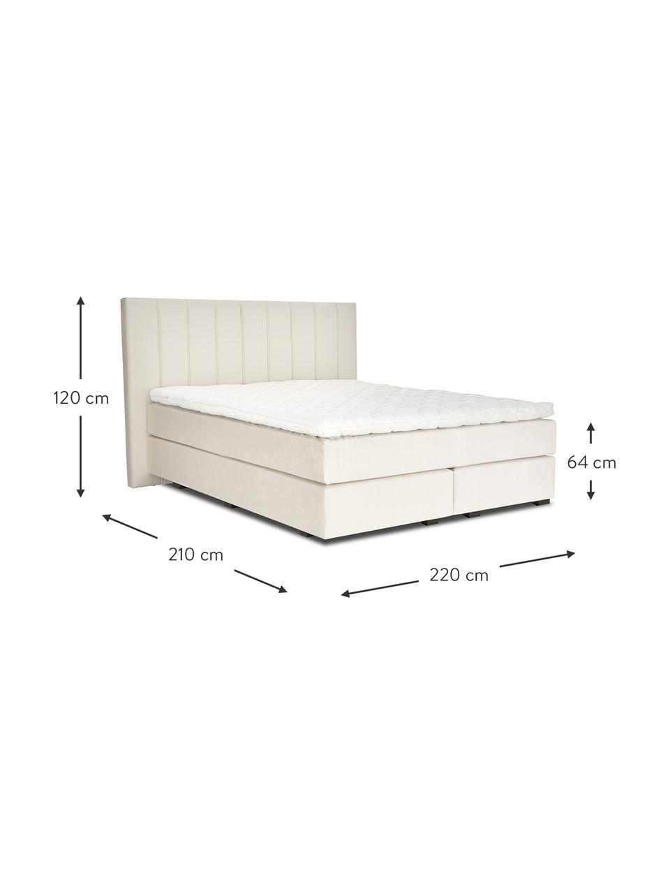 Premium Samt-Boxspringbett Lacey in Beige, Matratze: 7-Zonen-Taschenfederkern , Füße: Massives Buchenholz, lack, Samt Beige, 200 x 200 cm