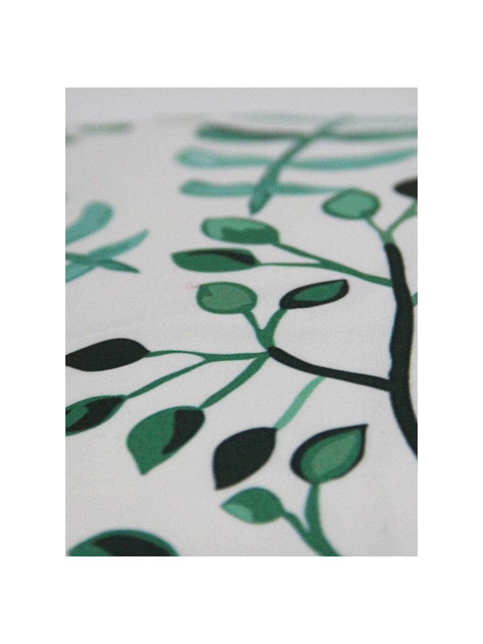 Federa arredo con motivo a foglie Leaves, Poliestere, Bianco, tonalità verdi, Larg. 40 x Lung. 40 cm