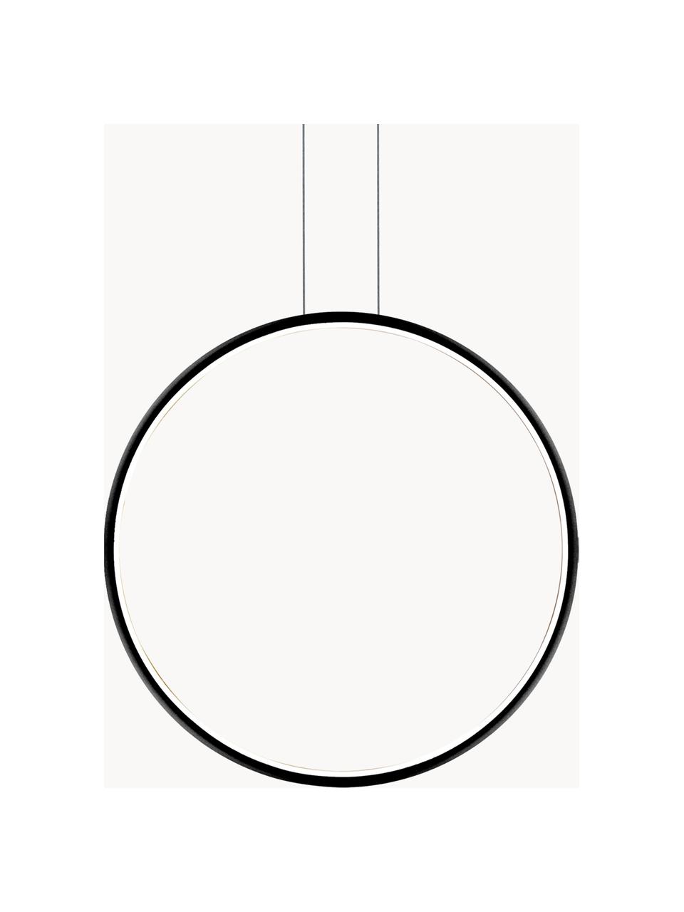 Grosse LED-Pendelleuchte Ring mit Diffusorscheibe, Lampenschirm: Silikon, Metall, pulverbe, Baldachin: Metall, pulverbeschichtet, Schwarz, Ø 80 x T 2 cm