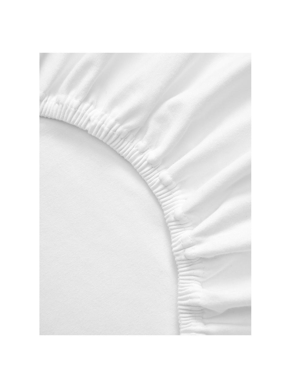 Drap-housse en jersey élasthanne Lara, Blanc, larg. 200 x long. 200 cm, haut. 25 cm