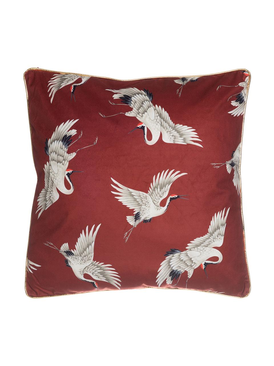 Cojín de terciopelo Bird, con relleno, Funda: terciopelo de poliéster, Rojo, An 45 x L 45 cm