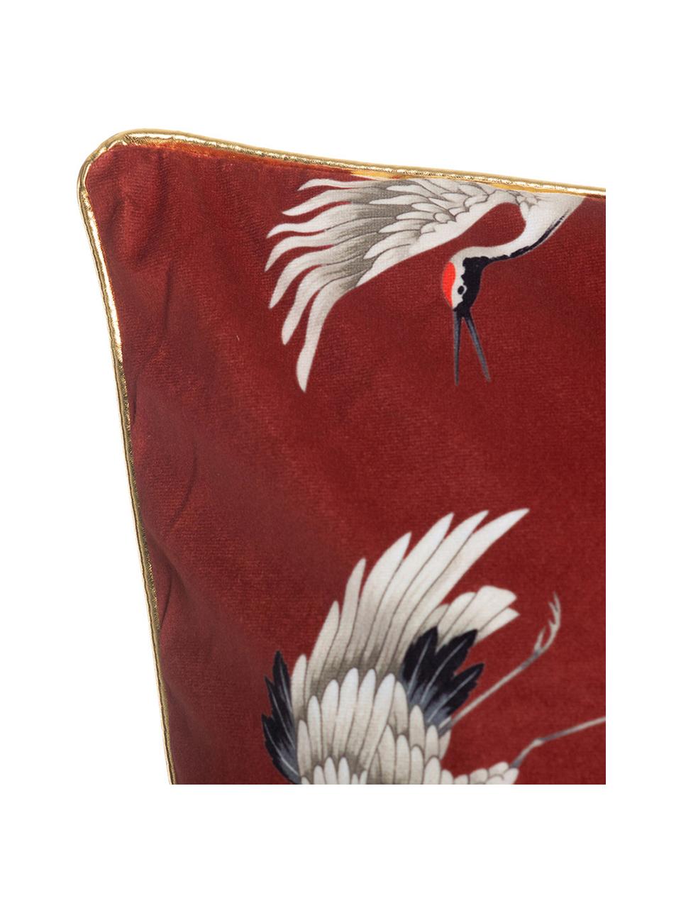Cojín de terciopelo Bird, con relleno, Funda: terciopelo de poliéster, Rojo, An 45 x L 45 cm