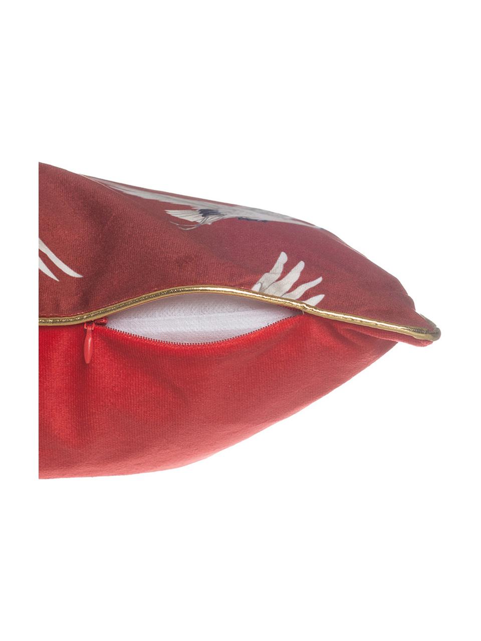 Cojín de terciopelo Bird, con relleno, Funda: terciopelo de poliéster, Rojo, An 45 x L 45 cm