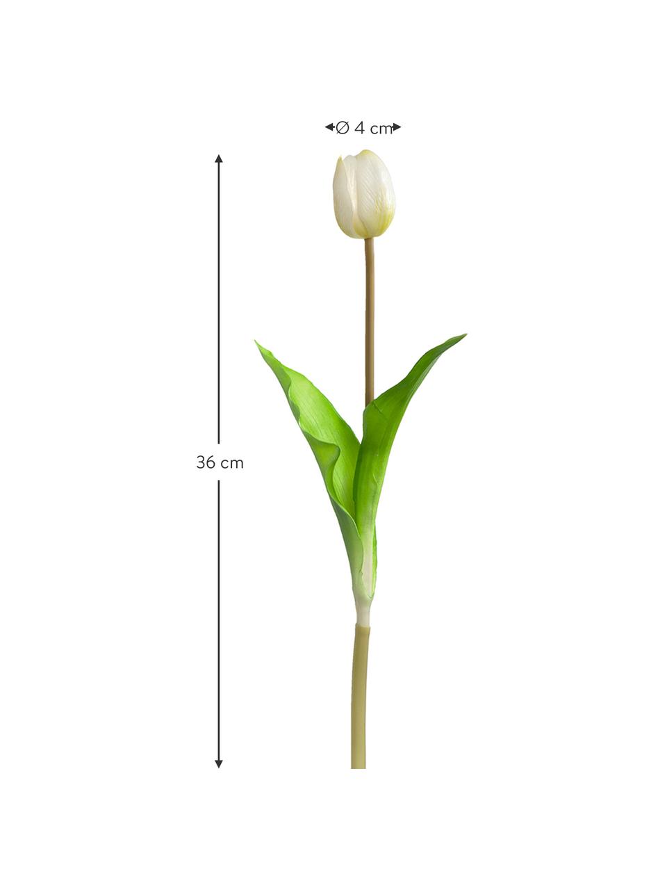 Dekoracyjny tulipan Savona, 4 szt., Tworzywo sztuczne, Biały, zielony, brązowy, D 36 cm