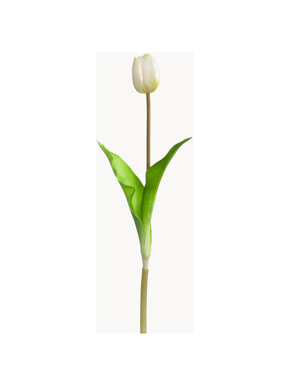 Tulipano bianco artificiale Savona 4 pz, Plastica, Bianco latte, verde, Lung. 36 cm