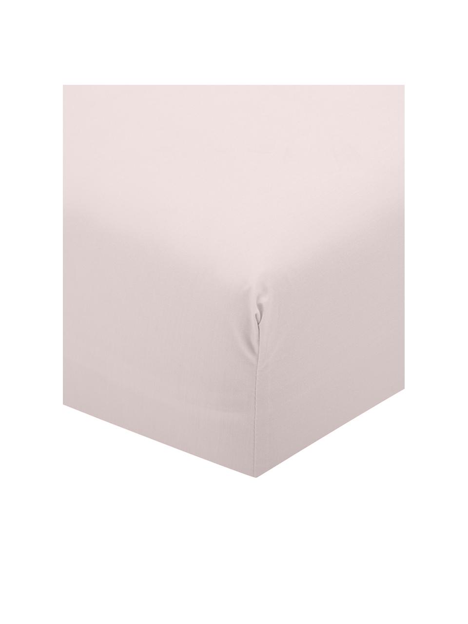 Drap-housse en percale de coton Elsie, Rose, larg. 160 x long. 200 cm