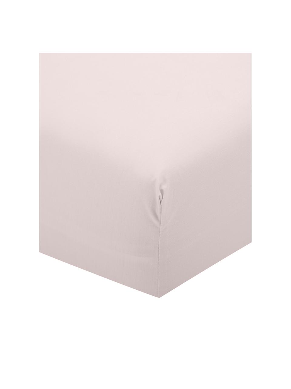 Hoeslaken Elsie, katoen perkal, Weeftechniek: perkal Draaddichtheid 200, Roze, B 160 x L 200 cm