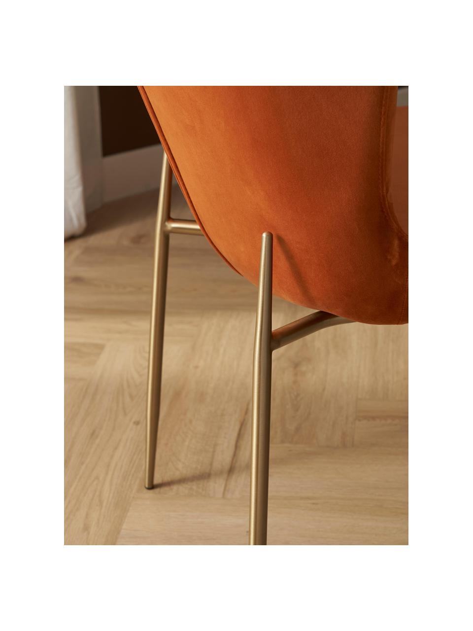 Samt-Polsterstuhl Tess, Bezug: Samt (Polyester) Der hoch, Beine: Metall, pulverbeschichtet, Samt Orange, Goldfarben, B 49 x T 64 cm