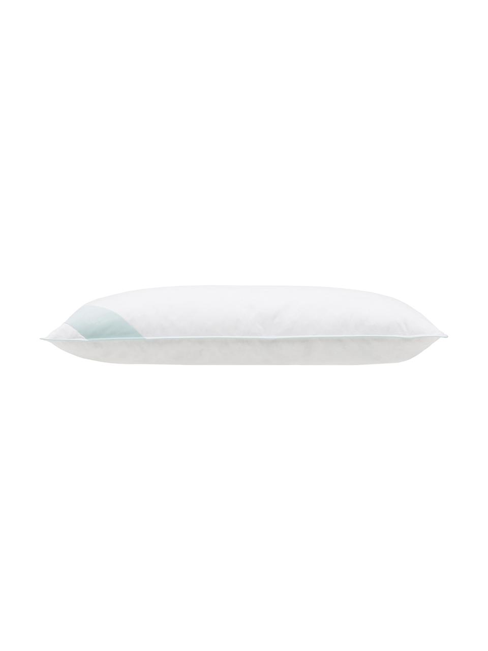 Oreiller en plumes Comfort, doux, Blanc, larg. 40 x long. 80 cm