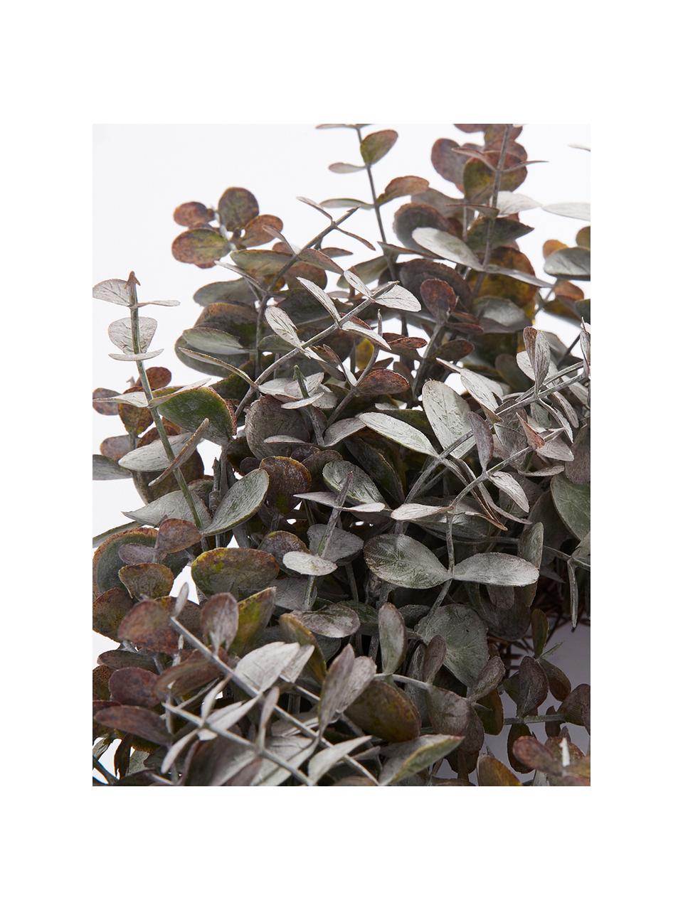 Wieniec eukaliptusowy Eurelia, Tworzywo sztuczne, Pudrowy zielony, Ø 28 x W 8 cm