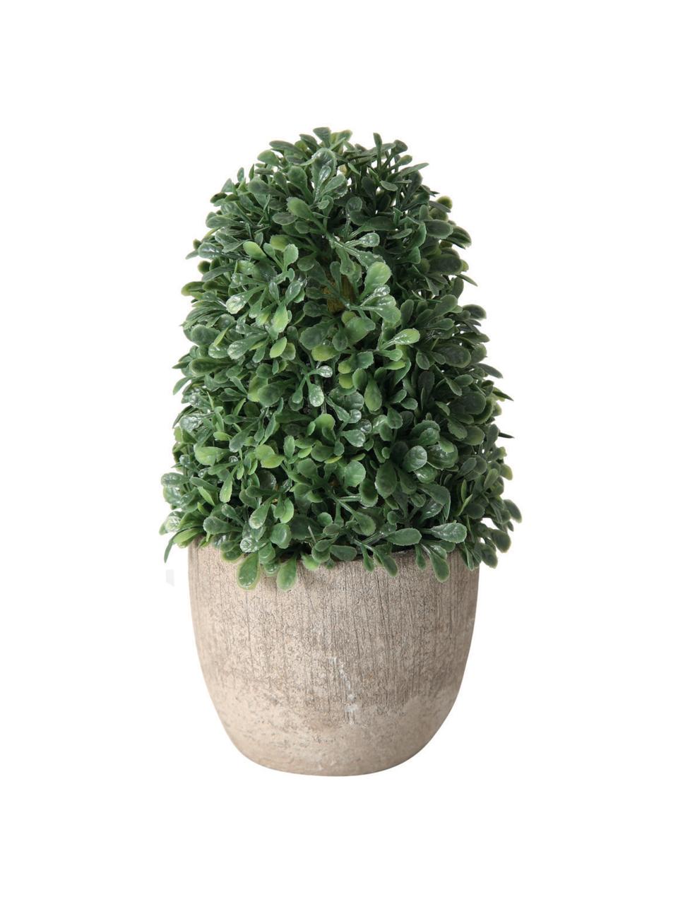 Künstliches Topfpflanzen-Set Tracy, 3-tlg., Kunststoff, Grün, Grau, Ø 7 x H 14 cm