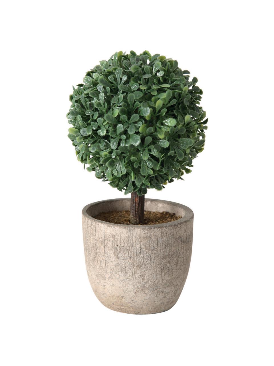 Plantes artificielles en pot Tracy, 3 élém., Plastique, Vert, gris, Ø 7 x haut. 14 cm