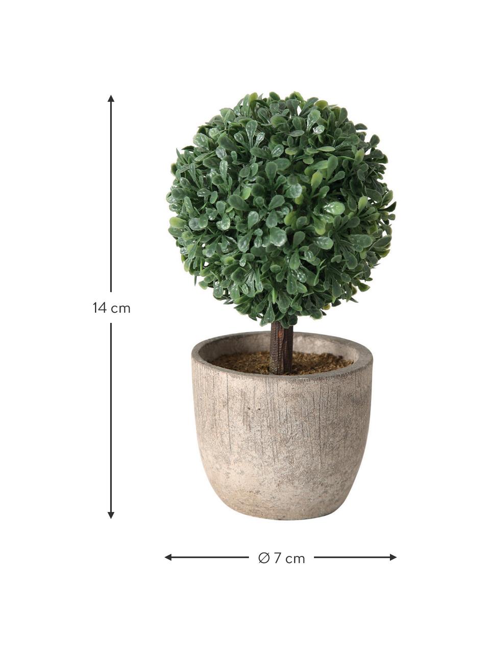 Plantes artificielles en pot Tracy, 3 élém., Plastique, Vert, gris, Ø 7 x haut. 14 cm