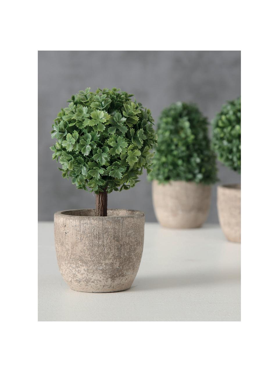 Kunstpotplantenset Tracy, 3-delig, Kunststof, Groen, grijs, Ø 7 x H 14 cm