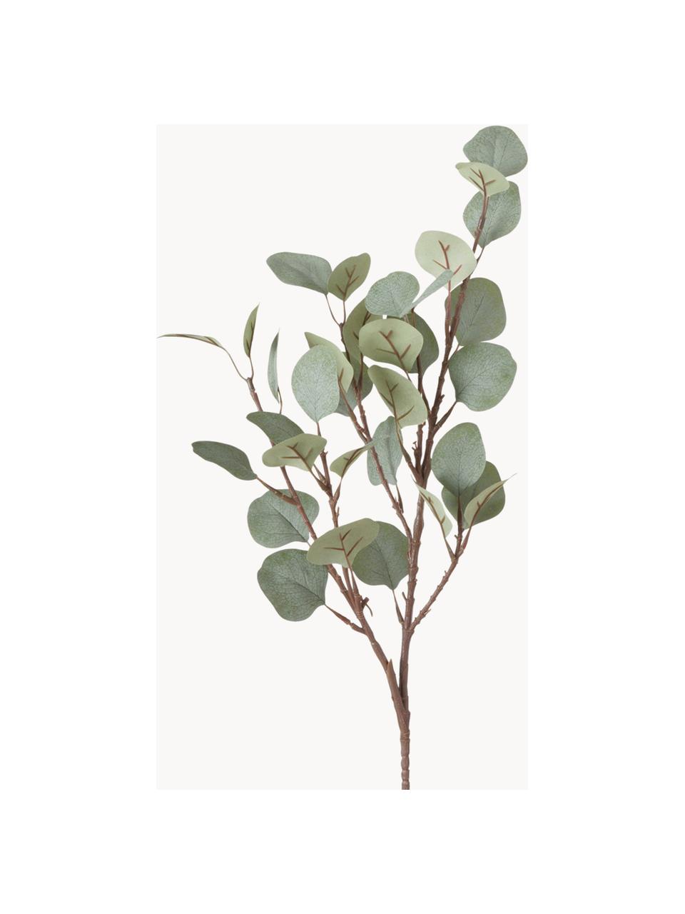 Dekoracyjna gałązka Eukalyptus, Tworzywo sztuczne, Brązowy, szałwiowy zielony, D 69 cm