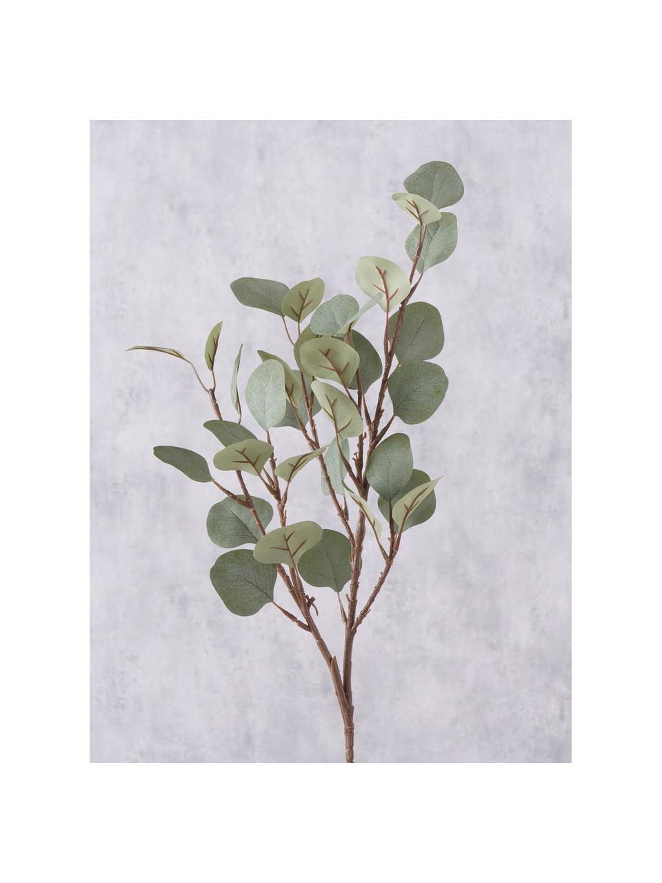 Dekoracyjna gałązka Eukalyptus, Tworzywo sztuczne, Brązowy, szałwiowy zielony, D 69 cm