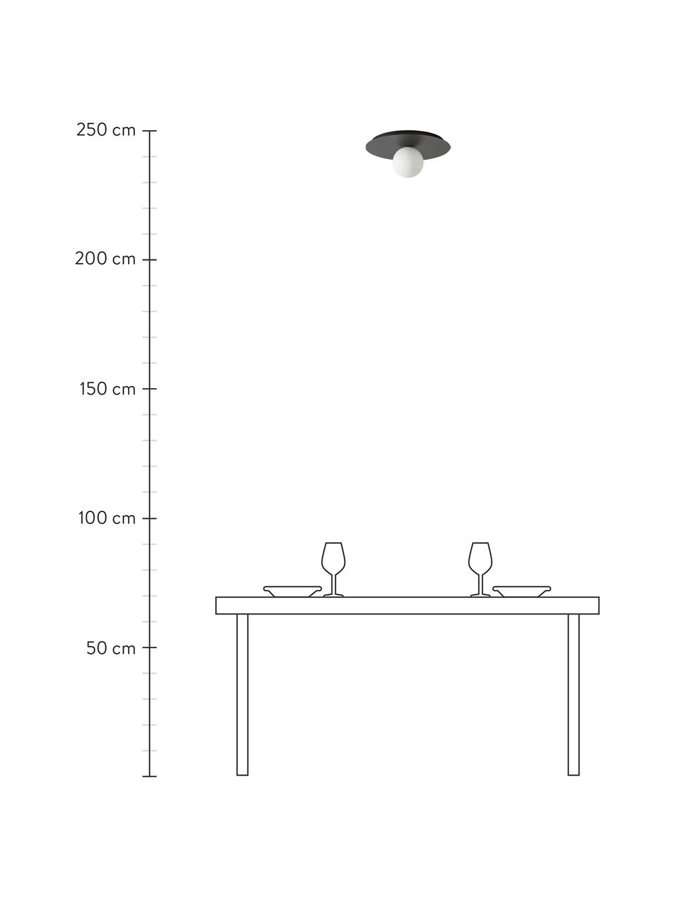Wand- und Deckenleuchte Starling in Schwarz, Lampenschirm: Opalglas, Schwarz, Weiß, Ø 33 x T 14 cm