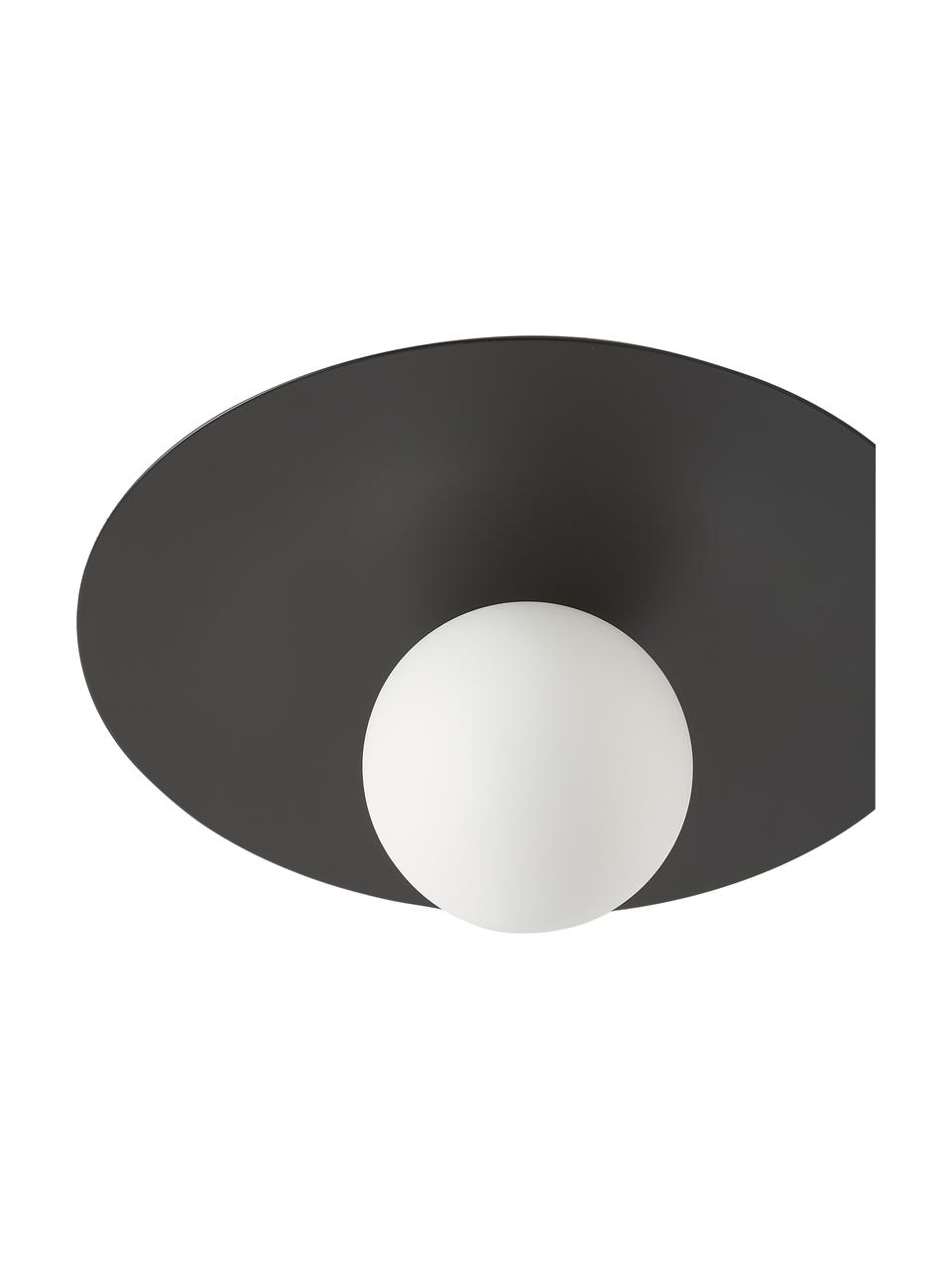 Wand- und Deckenleuchte Starling in Schwarz, Lampenschirm: Opalglas, Schwarz, Weiß, Ø 33 x T 14 cm