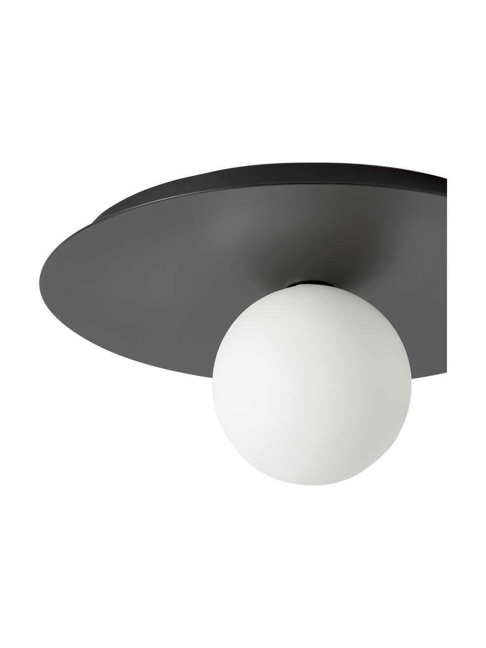 Plafonnier/applique Starling, Noir, blanc, Ø 33 x prof. 14 cm