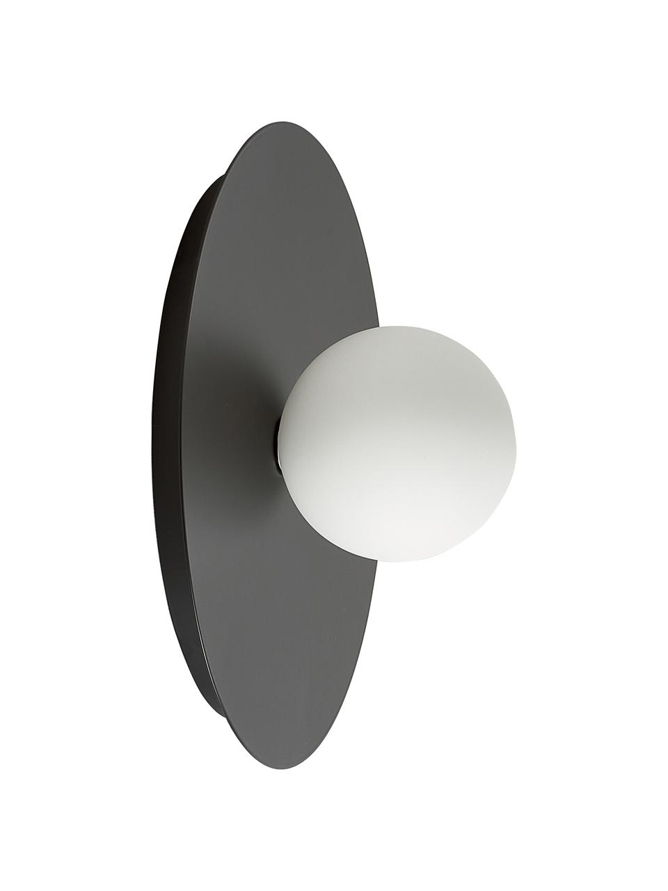 Wand- en plafondlamp Starling in zwart, Lampenkap: opaalglas, Zwart, wit, Ø 33 x D 14 cm