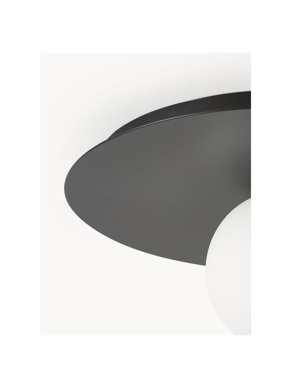 Wand- und Deckenleuchte Starling, Lampenschirm: Opalglas, Schwarz, Weiß, Ø 33 x T 14 cm