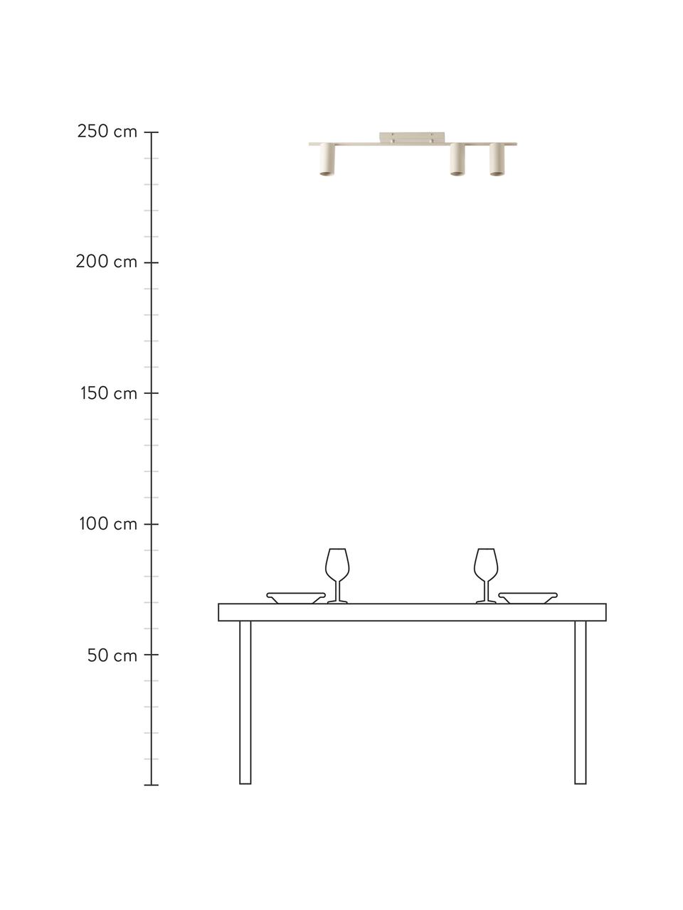Grand spot plafond Cassandra, Beige, mat, larg. 80 x haut. 16 cm
