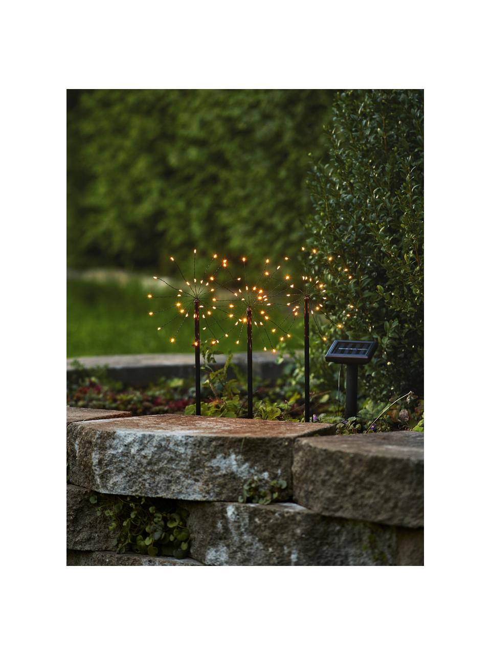 Solární zahradní osvětlení Firework, Transparentní, černá, D 300 cm