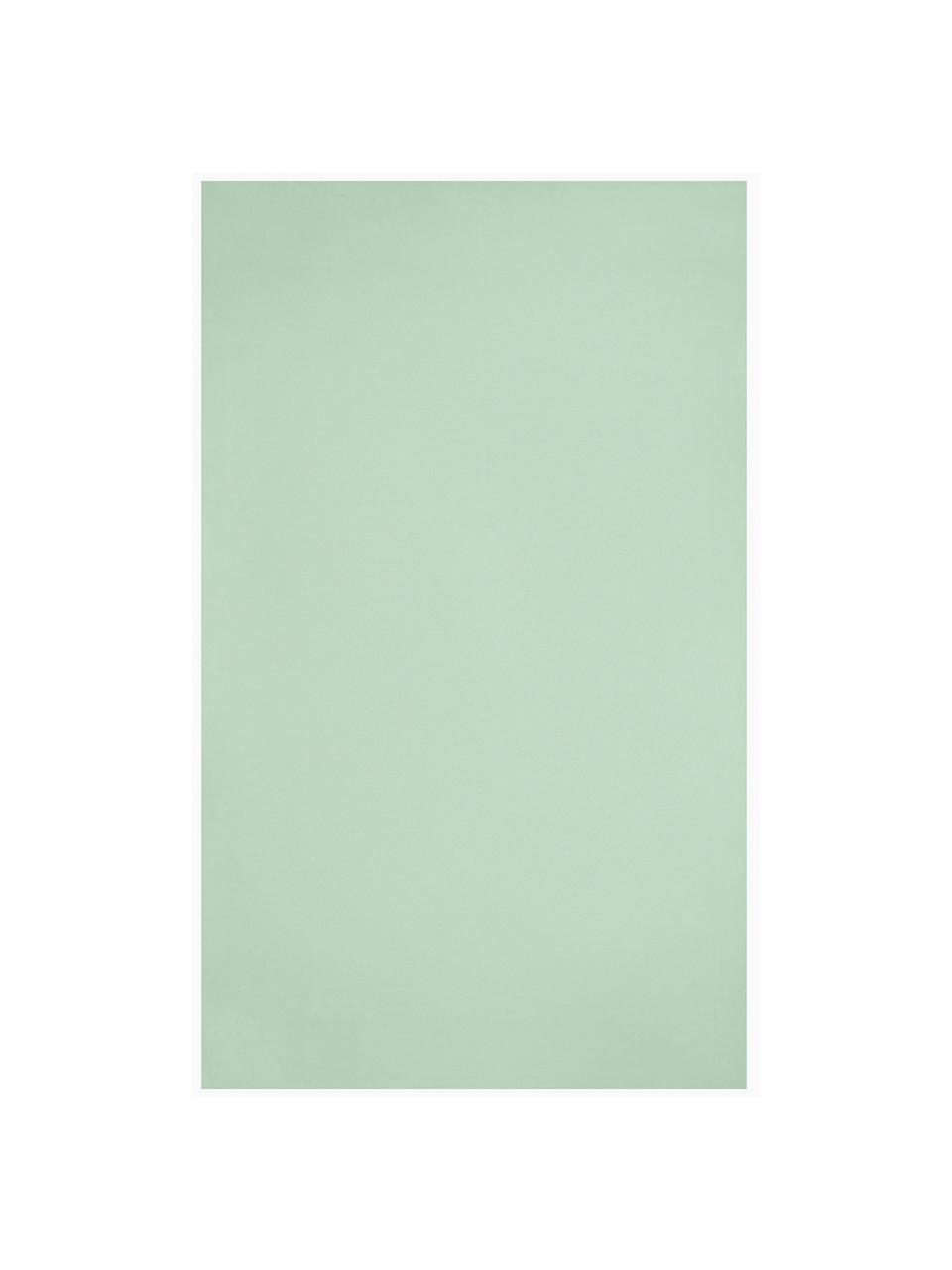 Drap plat en satin de coton Comfort, Vert sauge, 180 x 300 cm