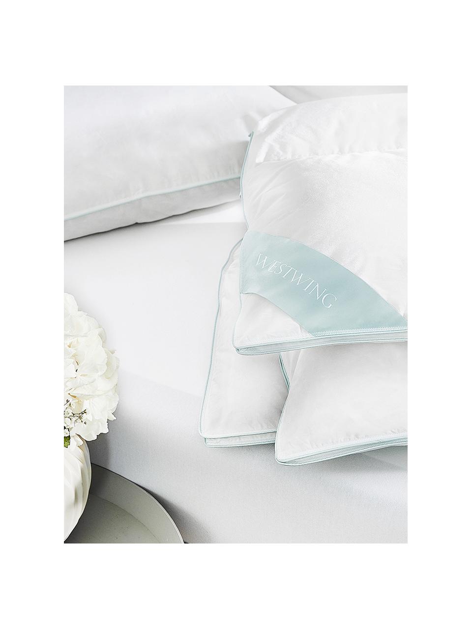 Donzen cassette-dekbed Comfort, licht, Licht, B 200 x L 200 cm