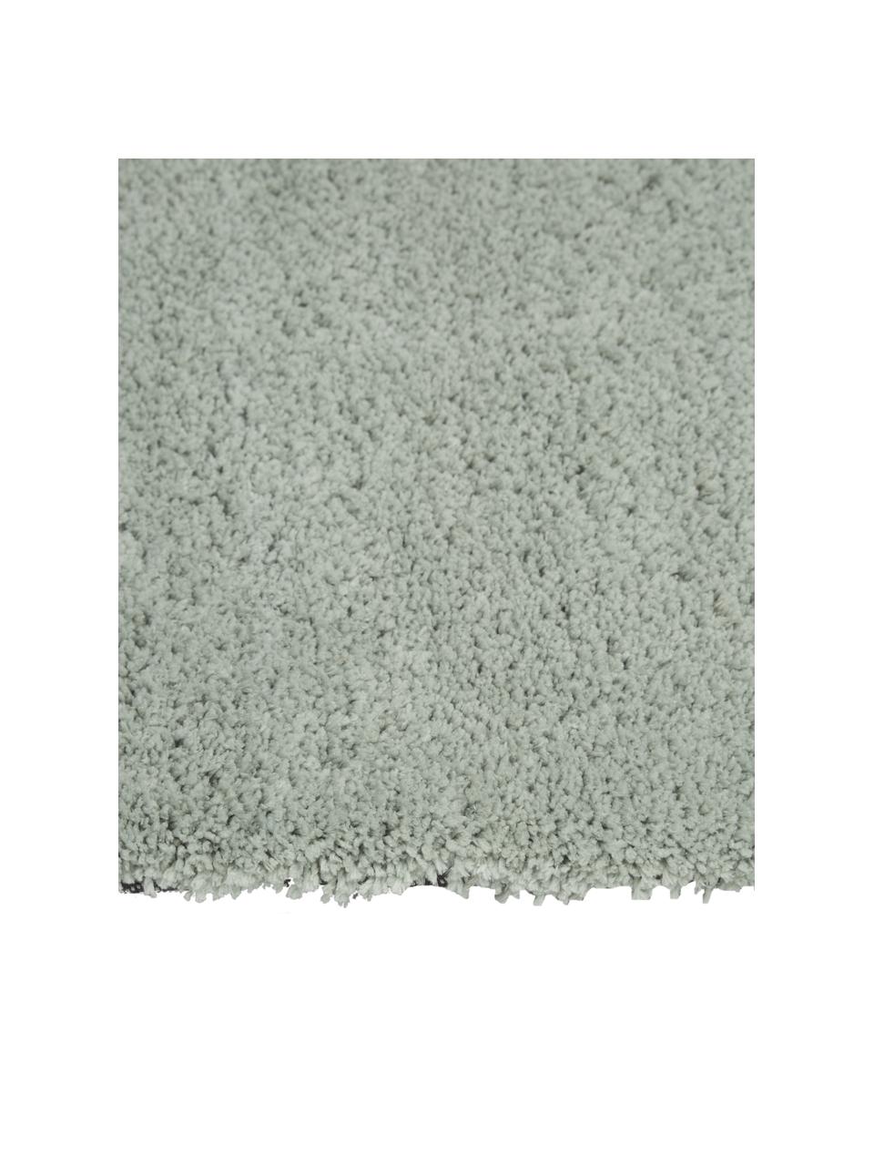 Alfombra de pelo largo Leighton, Parte superior: microfibra (100% poliéste, Reverso: 70% poliéster, 30% algodó, Verde menta, An 80 x L 150 cm (Tamaño XS)