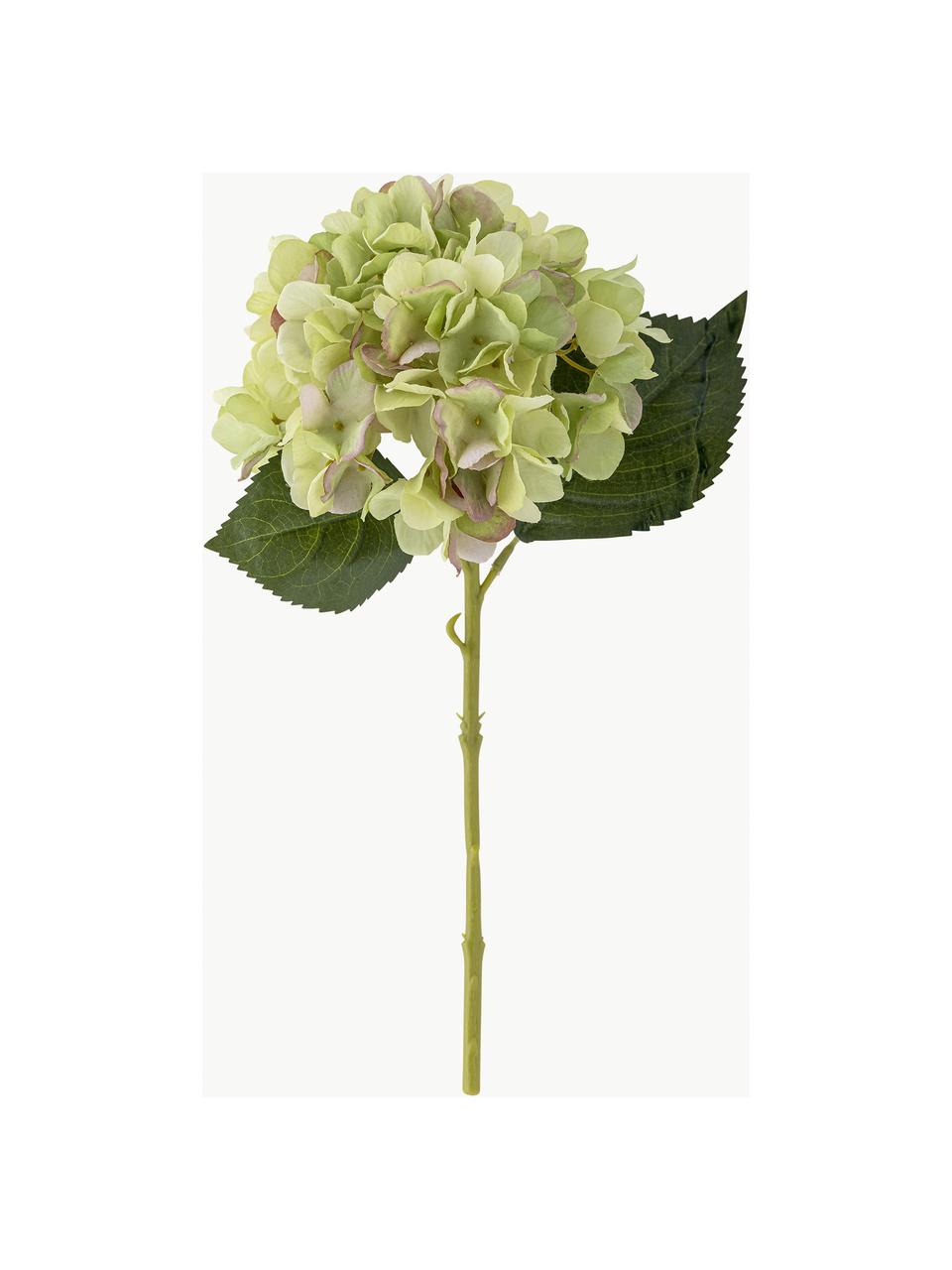 Fiore artificiale Hortensie, Plastica, poliestere, metallo, Tonalità verdi, Lung. 36 cm