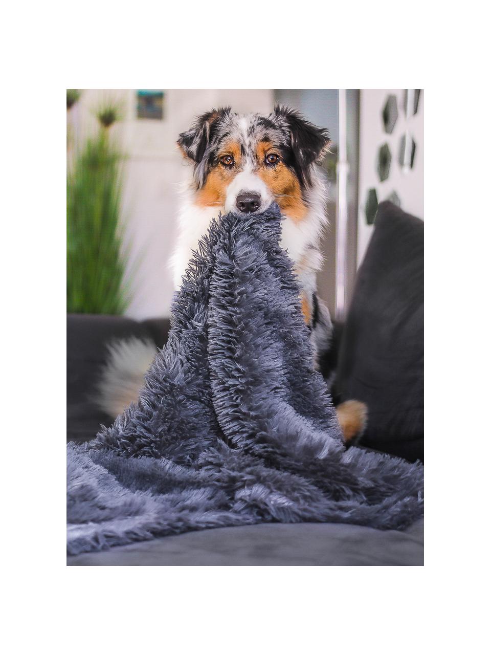 Coperta per animali domestici in teddy Fluffy, varie misure, Teddy (100% poliestere), Grigio-blu, Larg. 60 x Lung. 85 cm