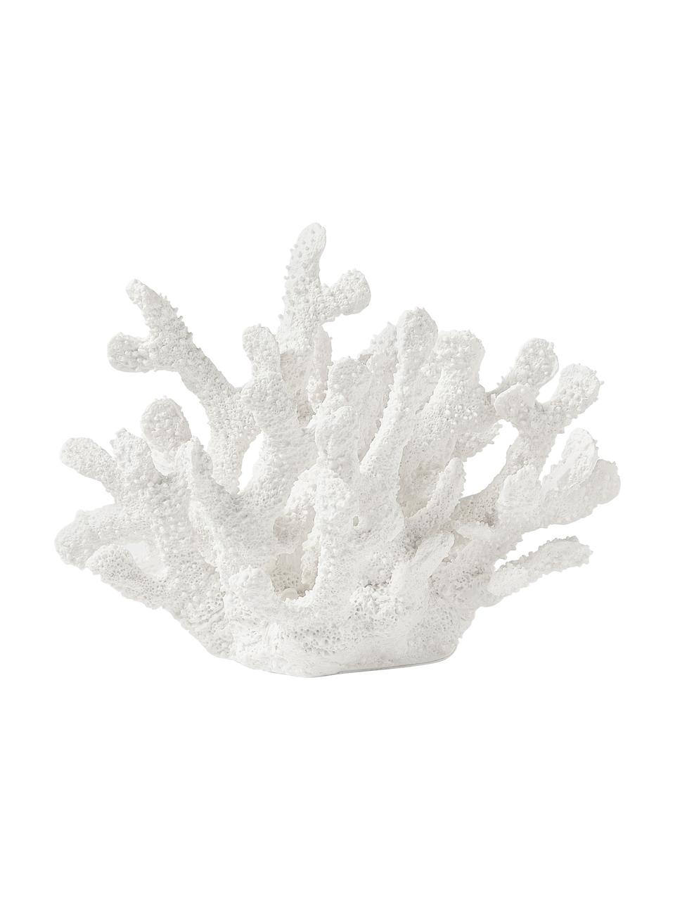 Pieza decorativa de diseño Coral, Poliresina, Blanco, An 22 x Al 17 cm