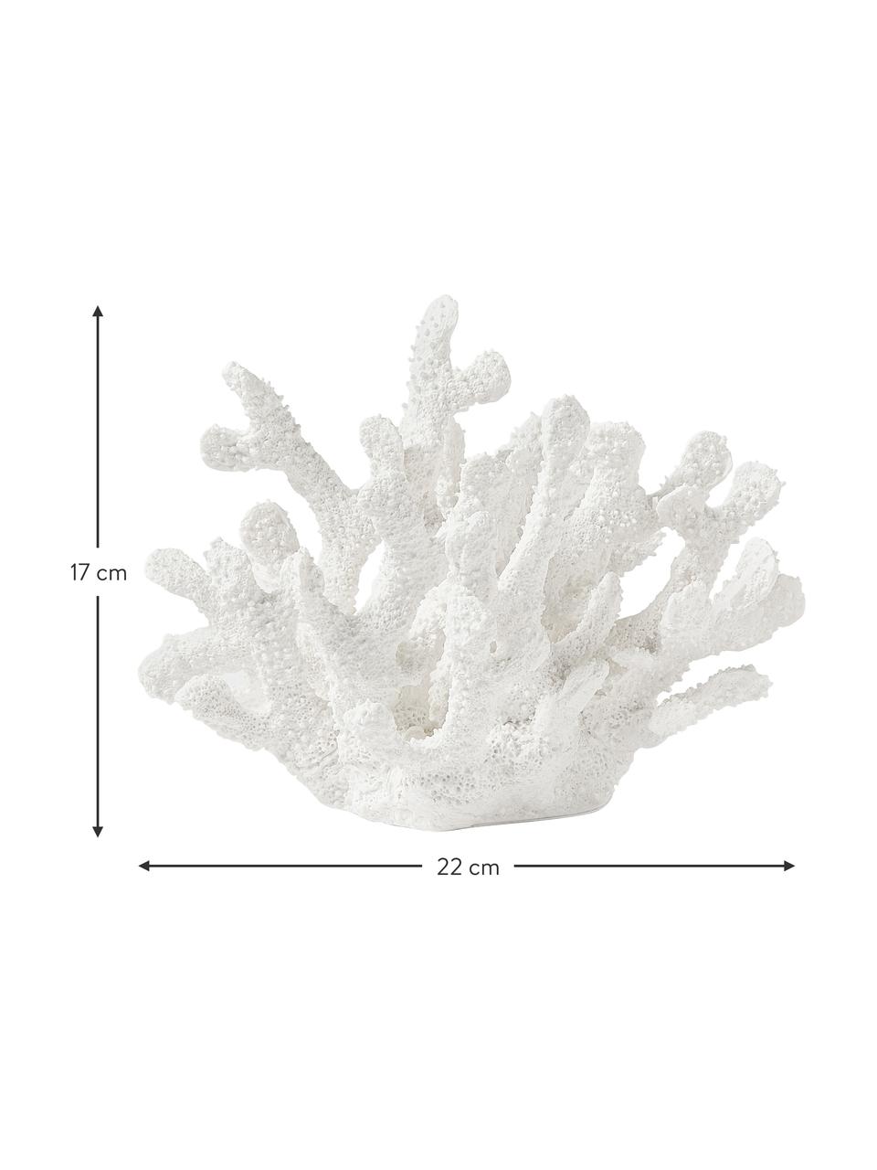 Dekoracja Coral, Poliresing, Biały, S 22 x W 17 cm