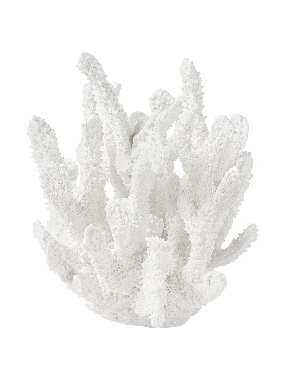 Dekoracja Coral, Poliresing, Biały, S 22 x W 17 cm