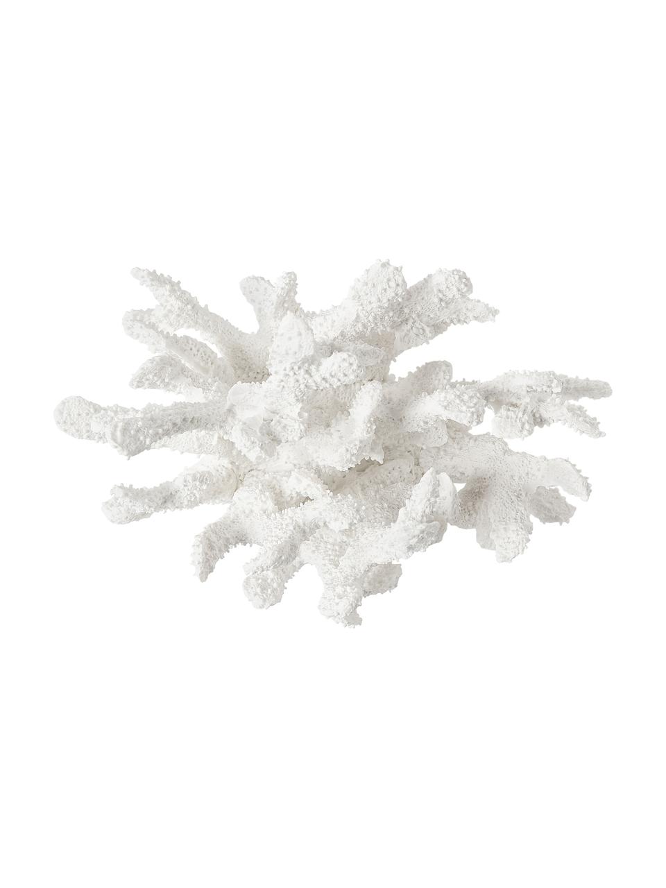 Oggetto decorativo di design Coral, Poliresina, Bianco, Larg. 22 x Alt. 17 cm
