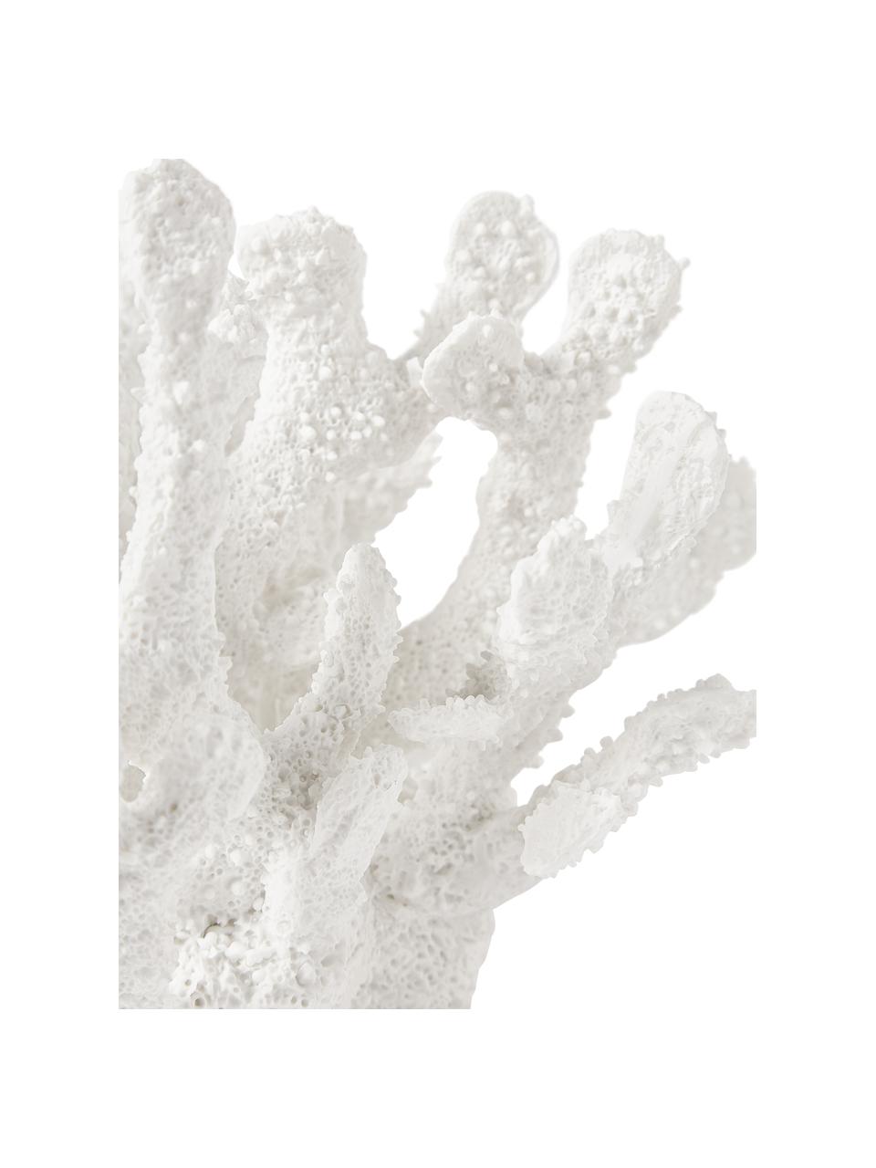 Designová dekorace Coral, Polyresin, Bílá, Š 22 cm, V 17 cm