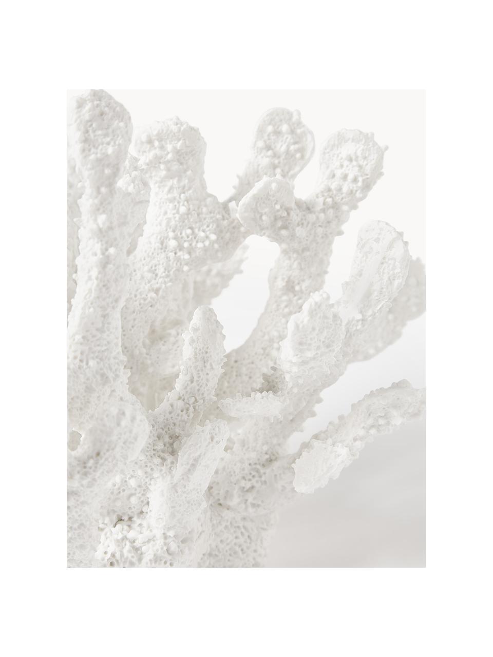 Oggetto decorativo di design Coral, Poliresina, Bianco, Larg. 22 x Alt. 17 cm