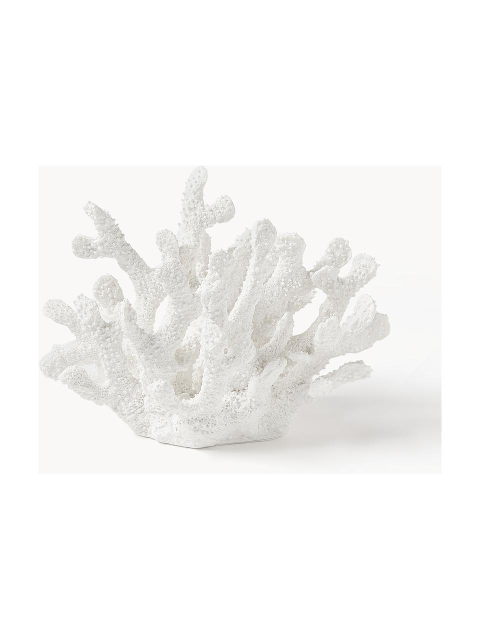 Designová dekorace Coral, Polyresin, Bílá, Š 22 cm, V 17 cm