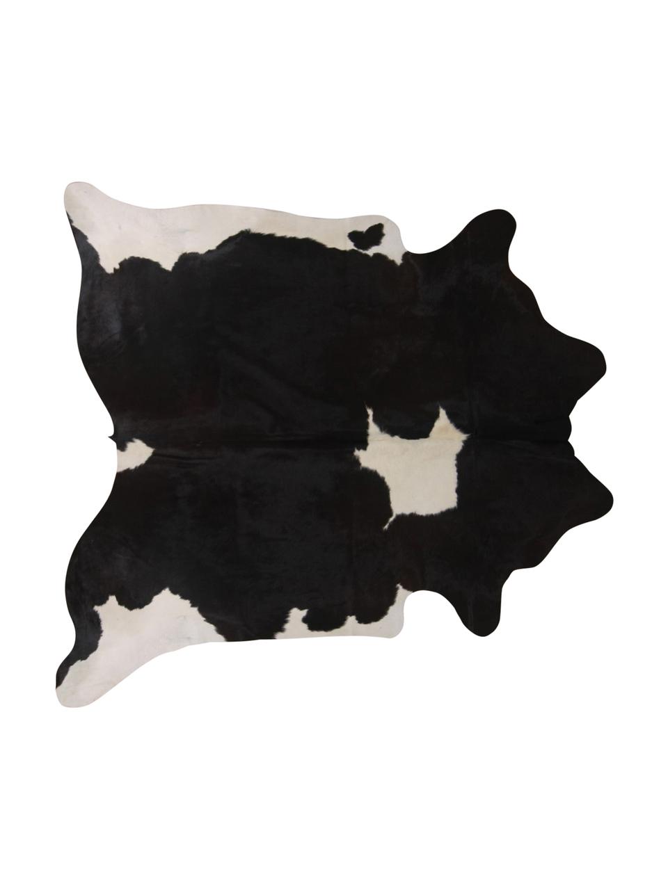 Koberec z hovädzej kože Pisces, Hovädzia koža, Biela s čiernymi fľakmi, Hovädzia koža Unikat 966, 160 x 180 cm