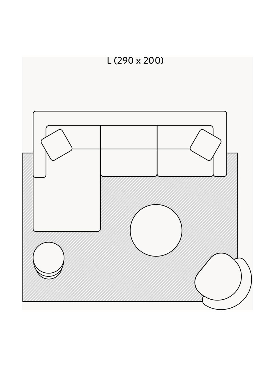 Handgewebter In- & Outdoor-Teppich Dakar mit Fransen und Hoch-Tief-Effekt, 100 % Polyethylen, Grau, B 80 x L 150 cm (Größe XS)