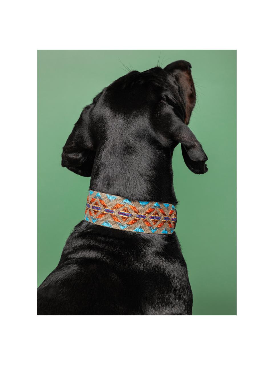 Collar para mascotas artesanal Etna, tamaños diferentes, Verde, turquesa, naranja, L 32 cm