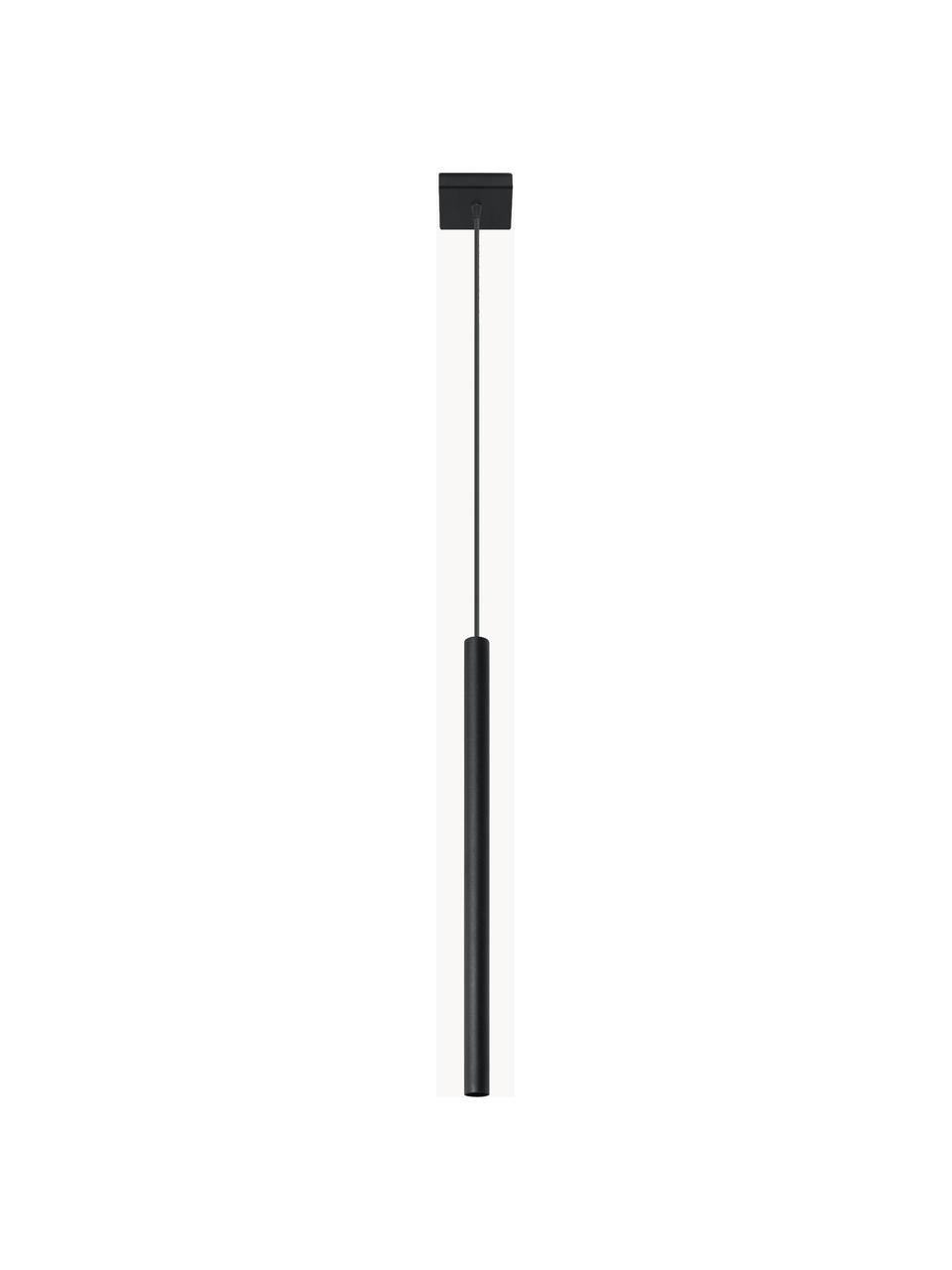 Lámpara de techo artesanal Fideus, Cable: plástico, Negro, Ø 2 x Al 50 cm