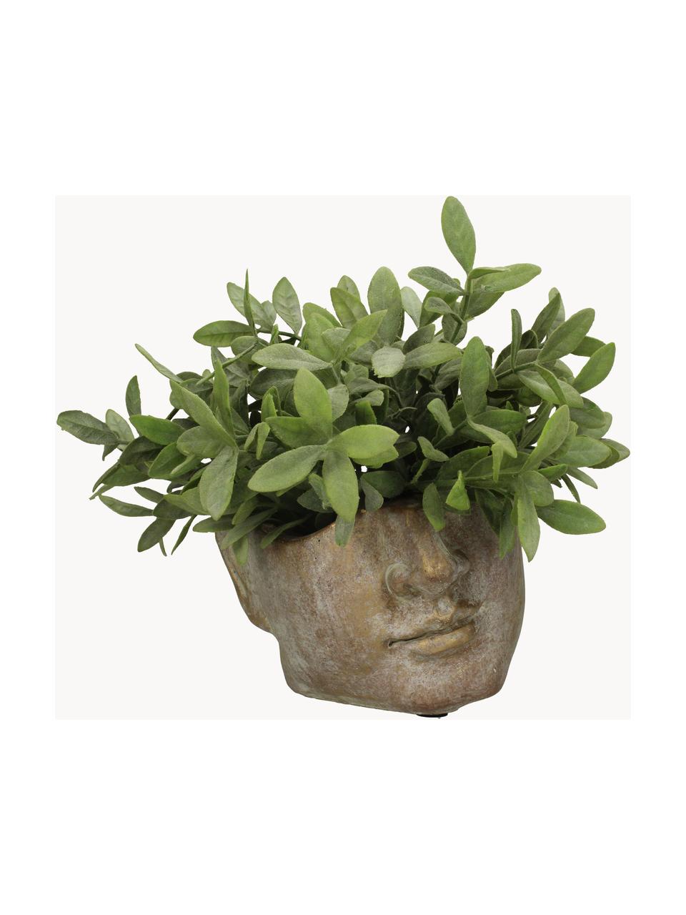 Betonnen plantenpot Face met antieke afwerking, Beton, Goudkleurig met antieke afwerking, B 17 x H 12 cm