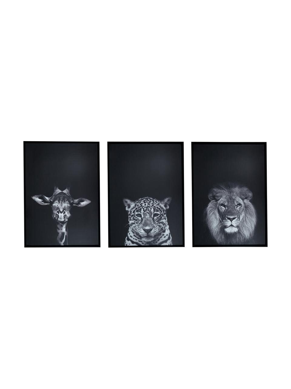 Gerahmtes Kunstdruck-Set Wild-Life, 3-tlg., Rahmen: Eukalyptusholz, Mitteldic, Schwarz, Weiß, B 53 x H 73 cm