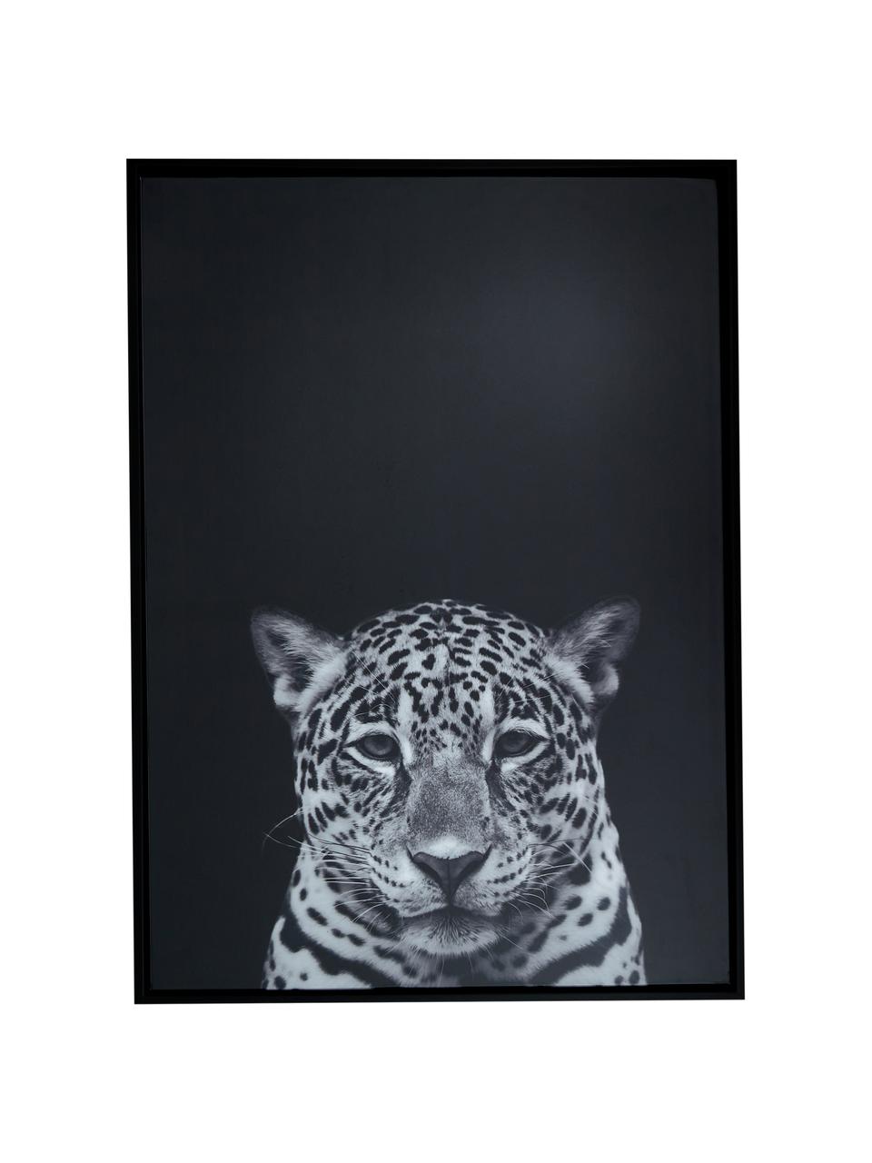 Komplet 3 oprawionych druków cyfrowych Wild-Life, 3 elem., Czarny, biały, S 53 x W 73 cm