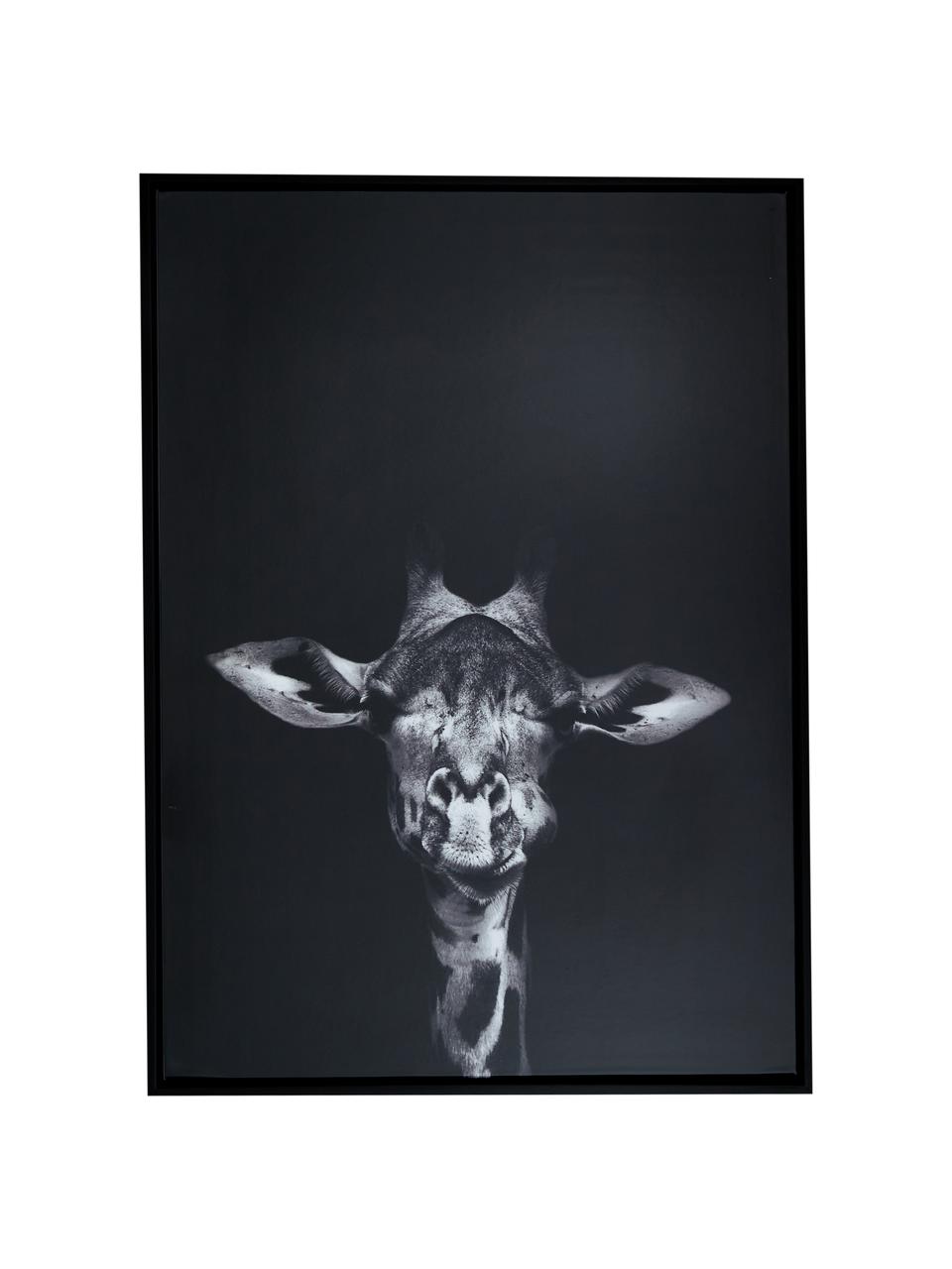 Impression encadrée Wild-Life, 3 élém., Noir, blanc, larg. 53 x haut. 73 cm