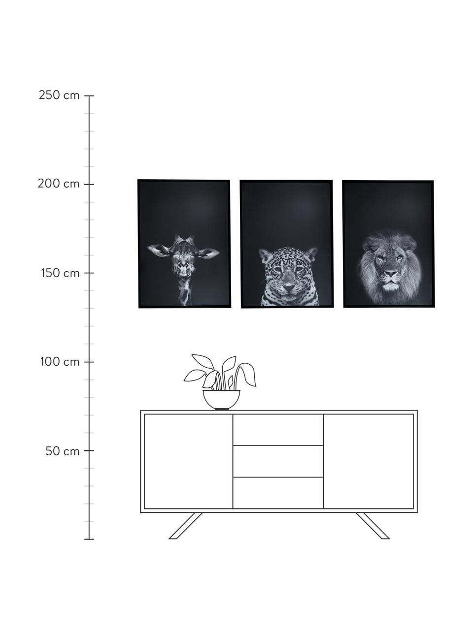Gerahmtes Kunstdruck-Set Wild-Life, 3-tlg., Rahmen: Eukalyptusholz, Mitteldic, Schwarz, Weiss, B 53 x H 73 cm